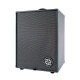 D210D Bass Combo