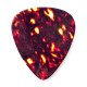 483P#05 Shell Classic - Medium