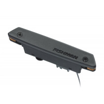 Rare Earth Soundhole Humbucking Pickup (PRO-REP-102)
