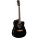 Ranger CW Eq Black