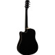 Ranger CW Eq Black