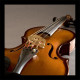 V-300 Pickup Concerto Violino (PRO-V30-0VI)