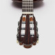 Torres Chitarra Classica