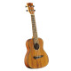 Uku Duo Ukulele Concerto