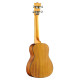 Uku Duo Ukulele Concerto