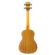 Uku Duo Ukulele Concerto