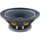 FTX1225 12" 300W 8ohm Coaxial