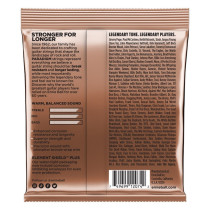 2074 Paradigm Phosphor Bronze Medium 13-56
