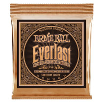 2546 Everlast Coated Phosphor Bronze Medium Light 12-54