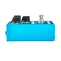 WM71 Smalls Aqua Puss Analog Delay