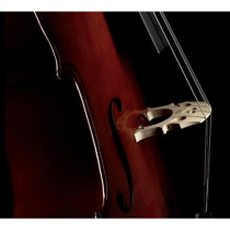 C-200 Pickup Violoncello (PRO-C20-0CE)