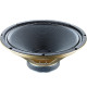 G15V-100 Fullback 15" 100W 16ohm