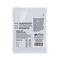 MA540T Authentic Lifespan 2.0 Light Phosphor Bronze 12-54