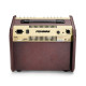 Loudbox Mini Bluetooth 60W (PRO-LBT-EU5)