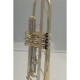 VSM TP300 Tromba Sib