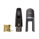 Bocchino USA Sax contralto New York 100th Anniversary 6M
