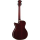 NXT A100ce See Through Red