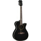 NXT A100ce See Through Black