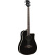 NXT Bass B100ce See Through Black