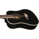 NXT D100e XII See Through Black
