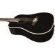 NXT D100e XII See Through Black