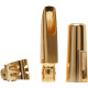 Bocchino Sax tenore Florida 8