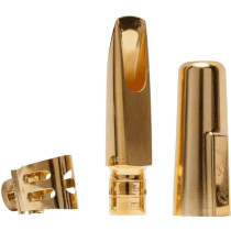Bocchino Sax tenore Florida 6*
