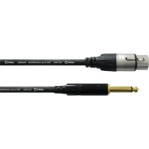 CCM 10 FP