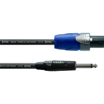 CPL 10 LP 25