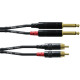 CFU 3 PC