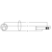 CFM 6 FV