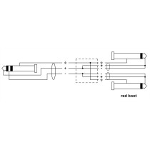 CFY 6 VPP