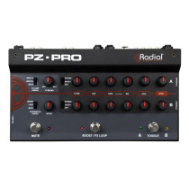 PZ PRO