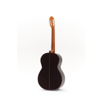 Octave Bass 6 Chitarra Contrabbasso