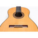 Alegria Chitarra Classica