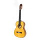 5Fes Chitarra Flamenca