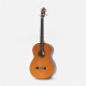 Octave Bass 4 Chitarra Contrabbasso