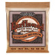 2143 Earthwood Custom Medium Phosphore Bronze