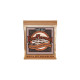 2152 Earthwood 12-String Custom Light Phosphore Bronze