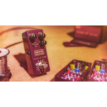 CSP039 Duke of Tone