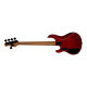 RAY35HH Spalted Maple Blood Orange Burst