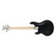 RAY4 Trans Black Satin