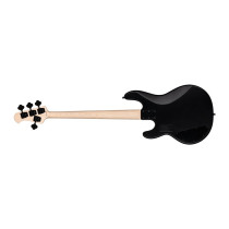 RAY4HH Stealth Black