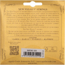 23U New Nylgut Ukulele Set, GCEA