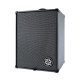 D210A Bass Combo