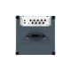 D210A Bass Combo