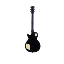 LS-300 Honey Burst