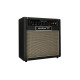 T20/10 Combo valvolare 1x12 20/10 W