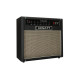T40/20 Combo valvolare 1x12 40/20 W