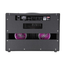 T40/20 Combo valvolare 2x12 40/20W
